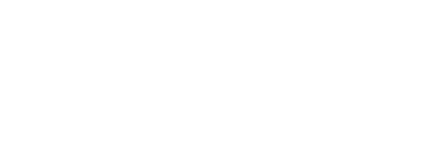 logo secta system